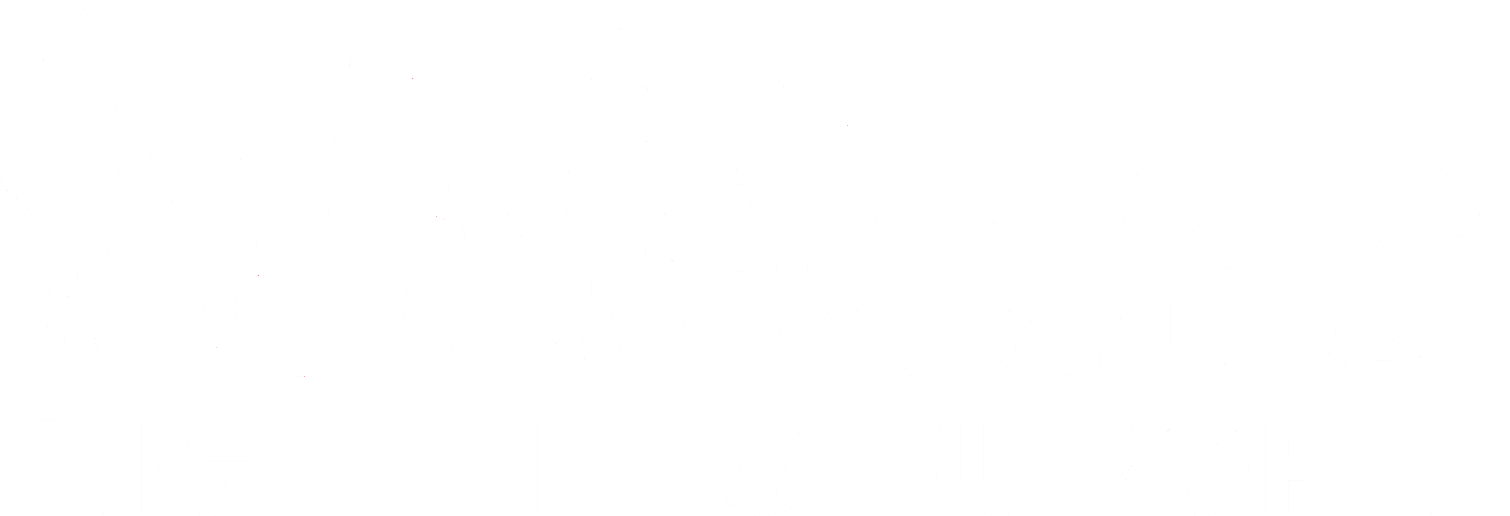 Light Into Europe logo